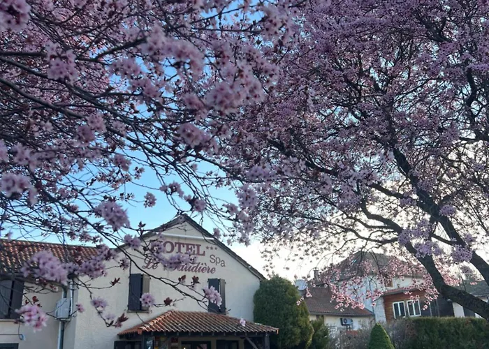 Hôtel Le Baudiere&Spa